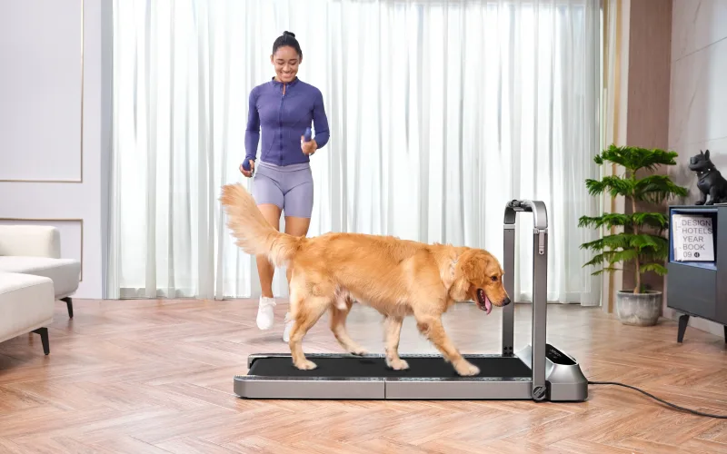 WalkingPad R2 Faltlaufband