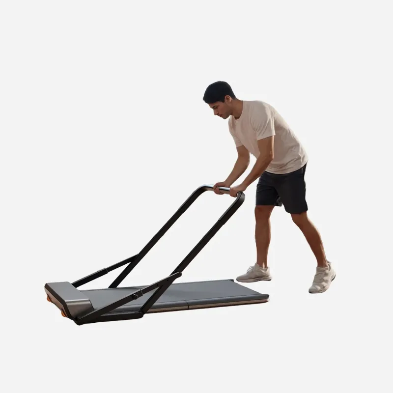 WalkingPad C2 Complete Bundle — Walking Pad, Handrail & Floor Mat